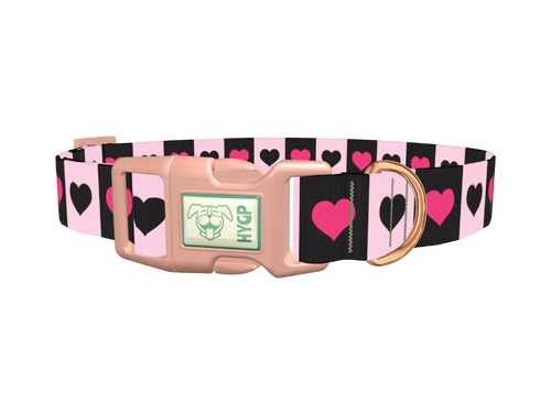 Valentine Heart Stripe Dog Collar