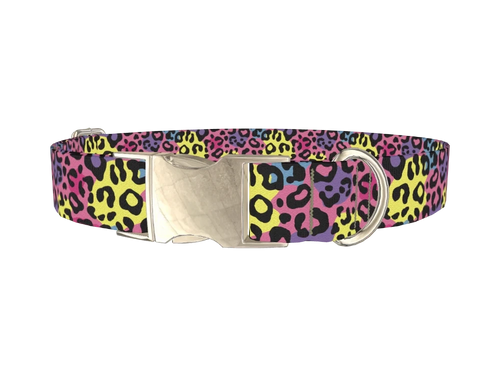 Colorful Leopard Print Dog Collar