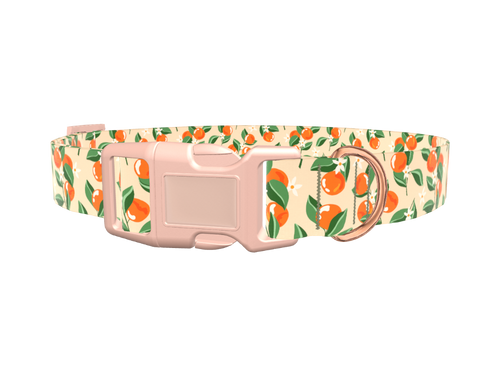 Floral Fruit Dog Collar
