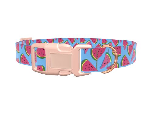 Geometric Watermelon Dog Collar