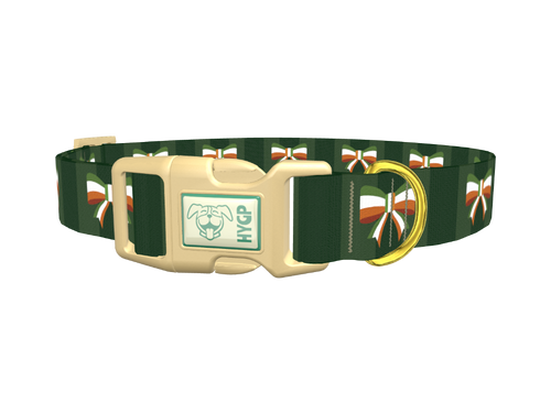 Irish Flag Bow Dog Collar