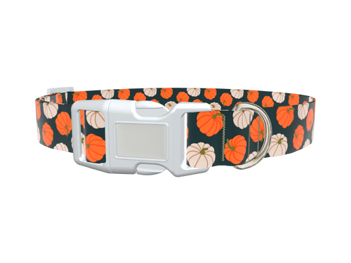 Pumpkin Patch Dog Collar