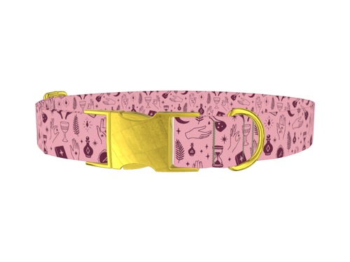 Halloween Palmistry Dog Collar