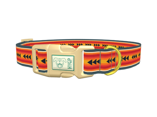 Retro Arrow Stripe Dog Collar