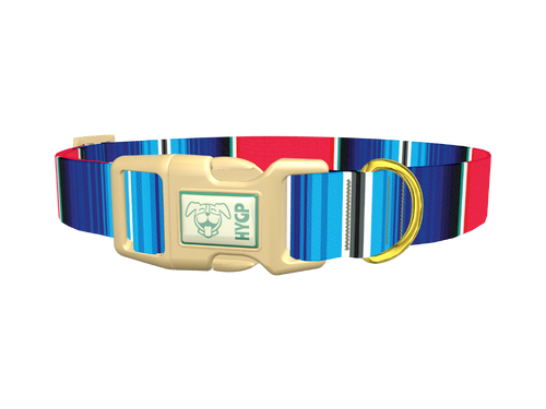 Vivid Stripe Dog Collar