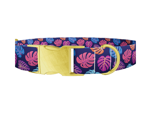 Colorful Monstera Dog Collar