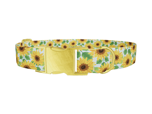 Sunflower Garden Dog Collar