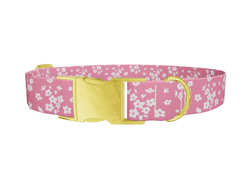Floral Pink Dog Collar