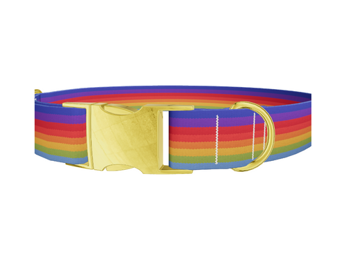 Rainbow Hexagon Dog Collar