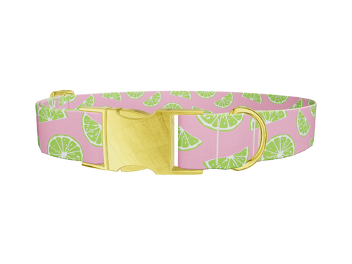 Pink Citrus Dog Collar