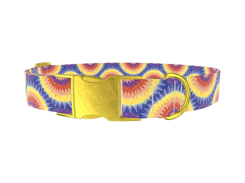 Colorful Burst Dog Collar