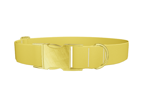 Golden Kiwi Color Dog Collar
