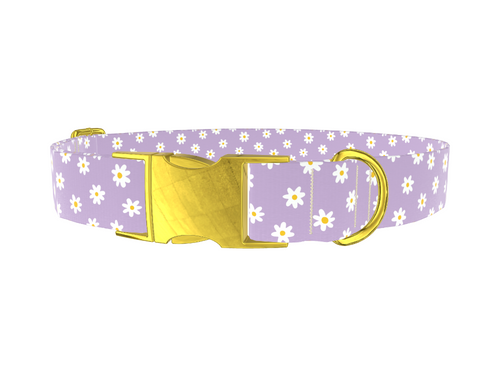 Purple Daisy Pattern Dog Collar