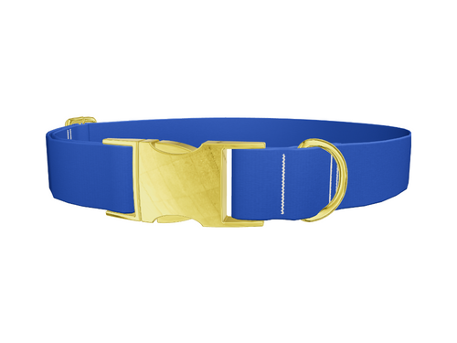 Blue Bonnet Color Dog Collar