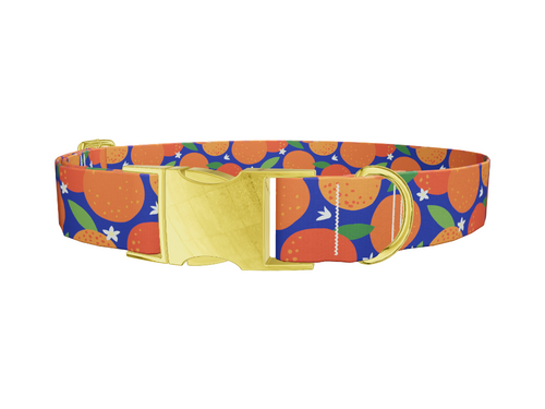 Orange Fruit Dog Collar