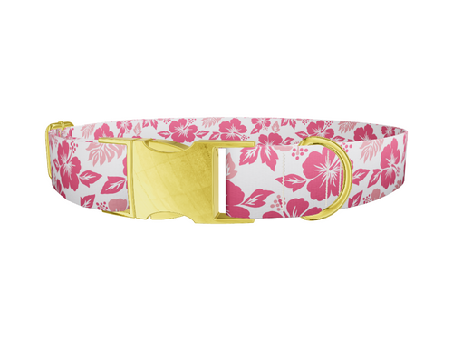 Hibiscus Blossom Dog Collar