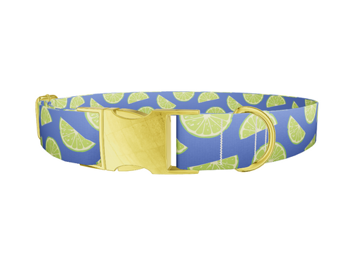 Lime Fruit Dog Collar