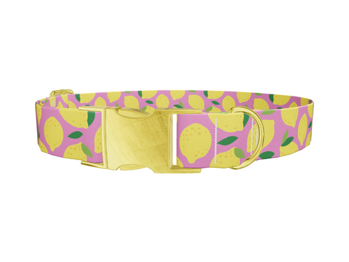 Pink Lemon Pattern Dog Collar