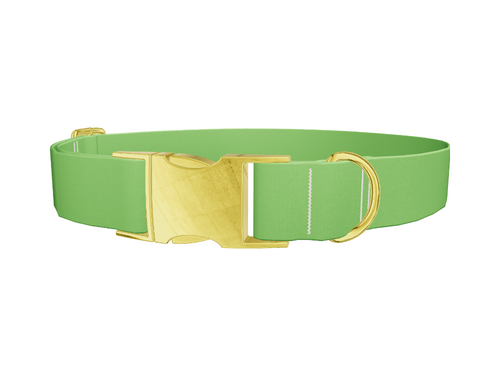 Lost Golfer Color Dog Collar