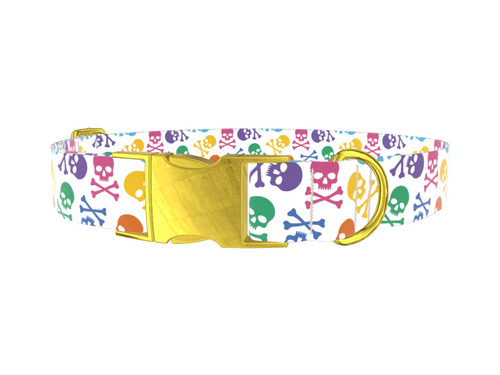 Colorful Skull Pattern Dog Collar