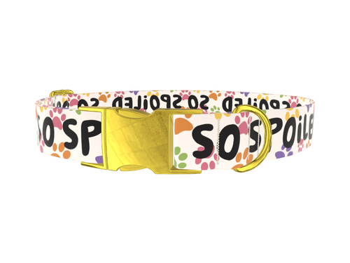 Paw Print Pattern Dog Collar