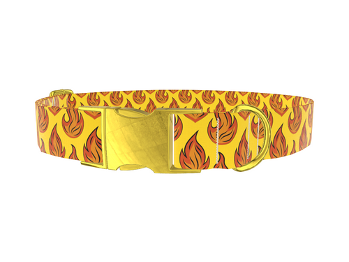 Flame Burst Dog Collar