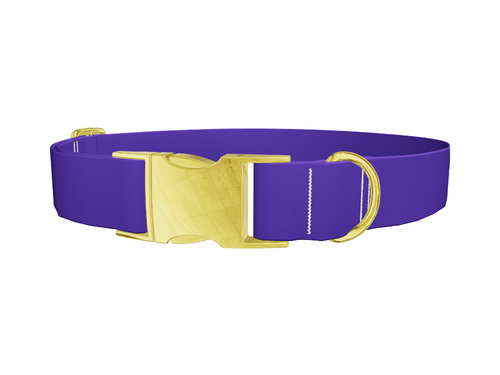 Blue Magenta Violet Color Dog Collar