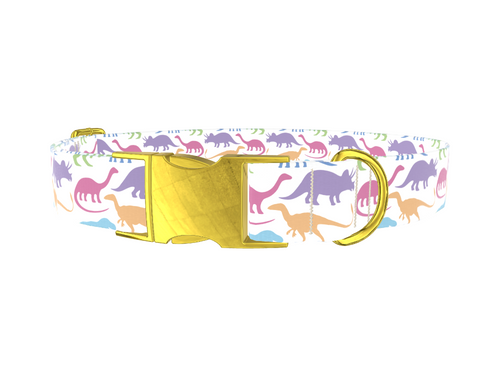Colorful Dinosaur Dog Collar