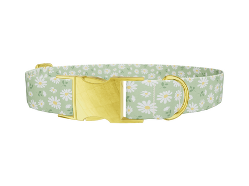 Green Daisy Dog Collar
