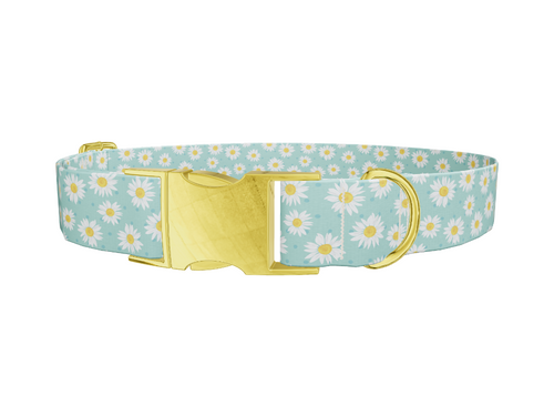 Teal Polka Dot Daisy Dog Collar