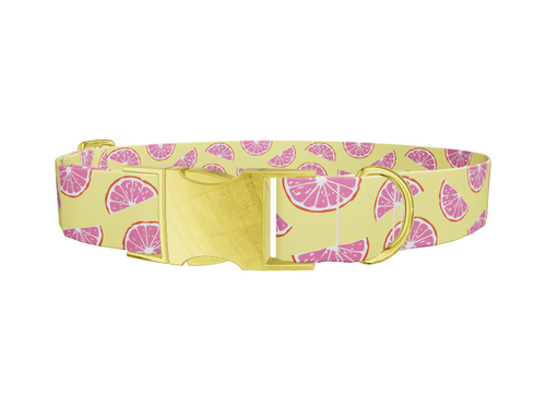 Grapefruit Slice Dog Collar