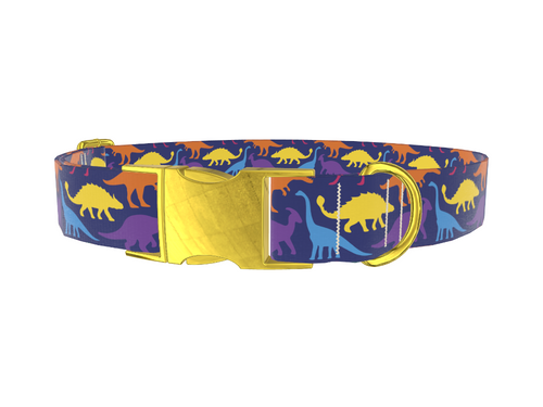 Dinosaur Pattern Dog Collar