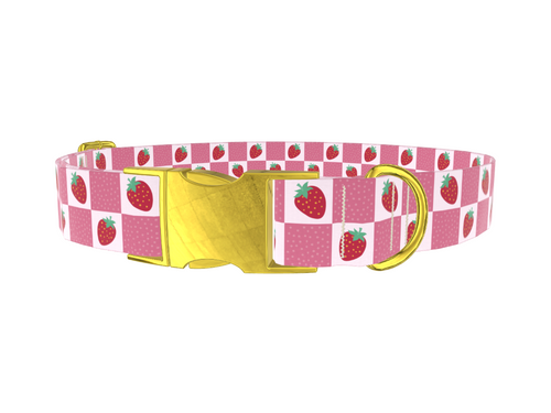 Strawberry Patch Dog Collar
