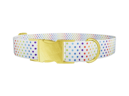 Rainbow Polka Dot Dog Collar
