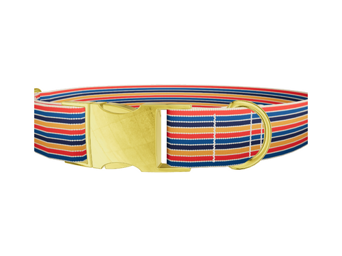 Color Block Hexagon Dog Collar