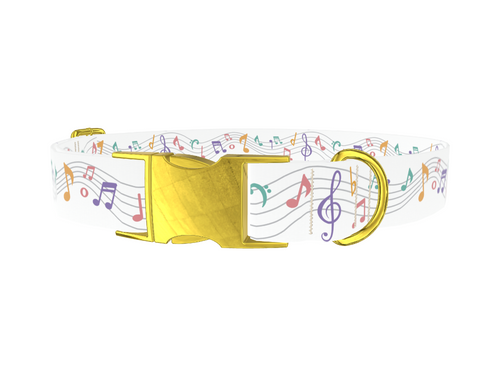 Colorful Music Notes Dog Collar