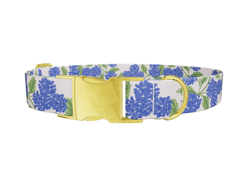 Floral Hydrangea Dog Collar