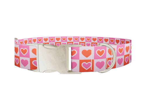 Color Block Heart Dog Collar
