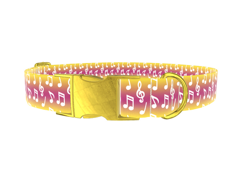 Gradient Musical Note Dog Collar