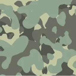 CAMO27_Olive