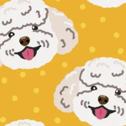 TOY_POODLE