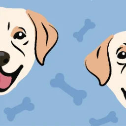 LABRADOR_BLUE