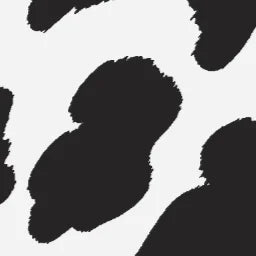 COW_BLACK