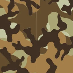 CAMO24_hakiK