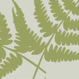 FERN_4