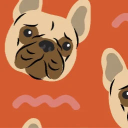 FRENCH_BULLDOG_01