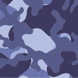 CAMO22_Navy
