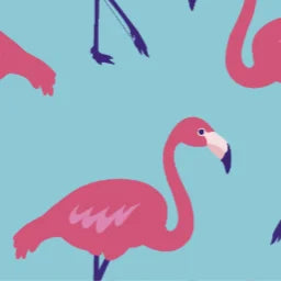 FLAMINGOS