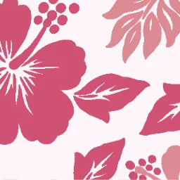 Tropical_Hibiscus2