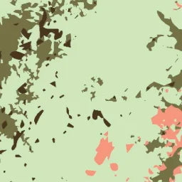 PaintSplatter_GreenPeach